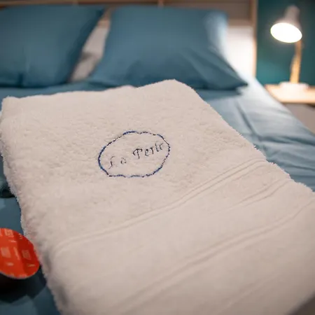 La Perle Lune -chambre En Colocation- Centre - - Parking